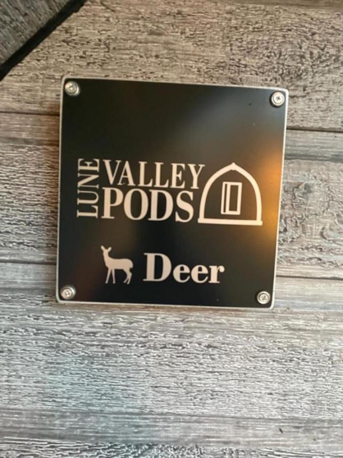米尔盖Glamping Pods公寓 外观 照片