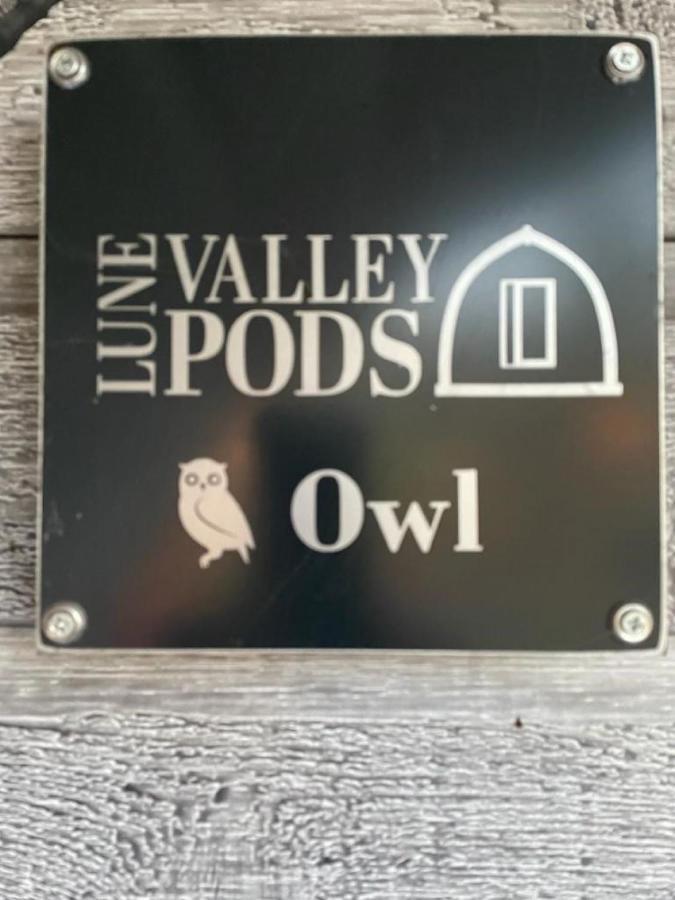 米尔盖Glamping Pods公寓 外观 照片